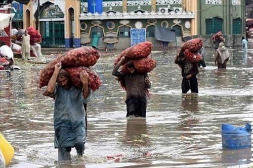 IMF phê chuẩn gói cứu trợ 3 tỷ USD cho Pakistan
