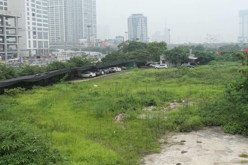 PGS.TS Nguyễn Minh Ngọc: Nhà đầu tư chỉ biết 'ôm' đất chờ tăng giá