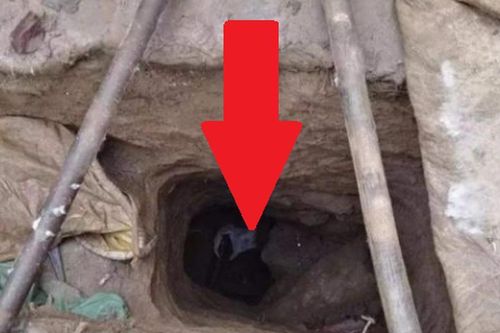 Vùng đất năm nào cũng mất mùa, chuyên gia lập tức tới, sau 10 năm mới phát hiện ra sự thật bất ngờ