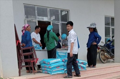 Hỗ trợ 3 tấn ngô giống giúp bà con khắc phục hậu quả thiên tai