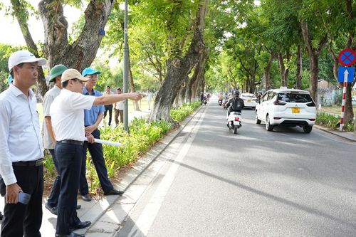 Sử dụng xe điện trung chuyển du khách tham quan Đại Nội Huế