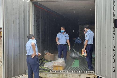 Hải Dương: Ngăn chặn kịp thời hơn 2,3 tấn nội tạng động vật đã bốc mùi đưa ra thị trường