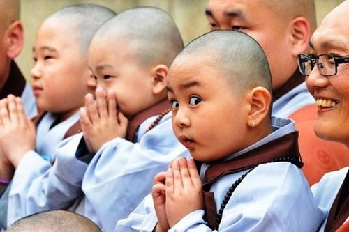 Cười cho đời bớt khổ
