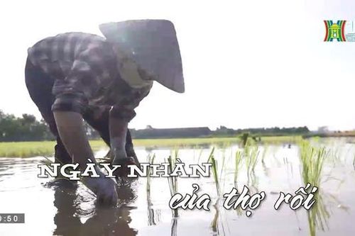 Ngày nhàn của thợ rối