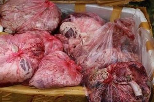Tàng trữ hơn 2,3 tấn thịt, nội tạng động vật bốc mùi để sơ chế, bán ra thị trường