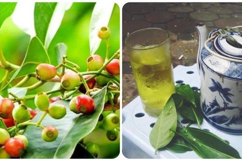 Những ai không nên uống nước vối?