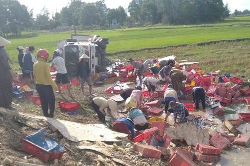Người dân lội bùn thu gom 5 tấn cá giúp tài xế xe tải không may bị lật