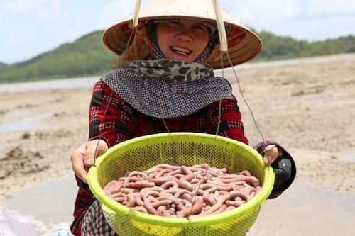 Miệt mài đào 'mì chính nhà giàu', chị em phấn khởi kiếm tiền triệu mỗi ngày