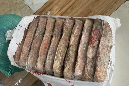 Phát hiện 2,3 tấn lòng lợn, mỡ lợn bốc mùi hôi thối trong một hộ kinh doanh