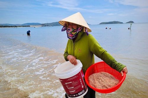 Quảng Bình: Ngư dân trúng đậm'lộc trời'