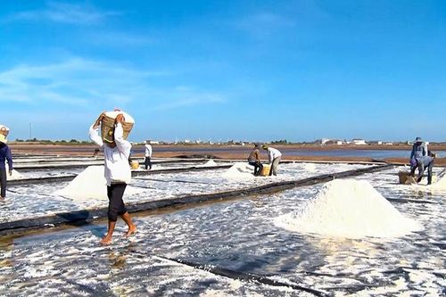 Lấp lánh di sản muối Bạc Liêu