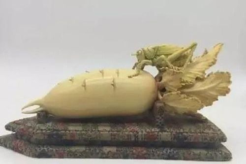 Đem 'củ cải trắng' đi thẩm định, chuyên gia thảng thốt: 'Giao nộp ngay'