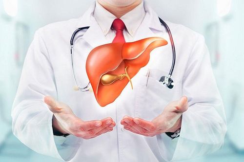 Viêm gan mạn tính không do virus