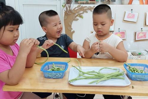 Tăng cường vận động thể chất trong hè cho trẻ mầm non