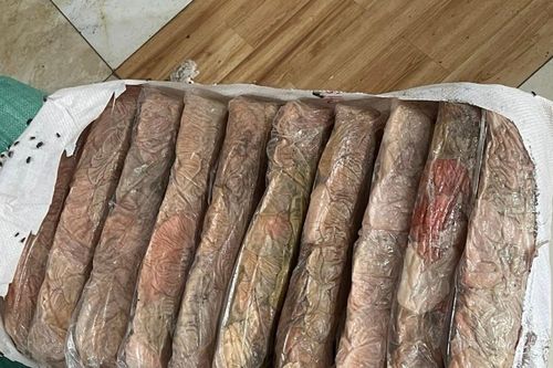 Phát hiện 2,3 tấn nội tạng và mỡ lợn hôi thối chờ đưa ra thị trường