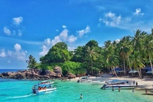 Tỉnh nào có diện tích lớn nhất Đồng bằng sông Cửu Long?