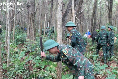 Hơn 300 cán bộ, chiến sĩ, đoàn viên thanh niên tham gia phòng, chống cháy rừng ở Quỳnh Lưu