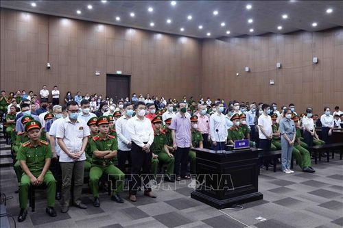 'Nóng' trong tuần: Xét xử vụ án 'Chuyến bay giải cứu'; hướng dẫn chi trả lương hưu mới