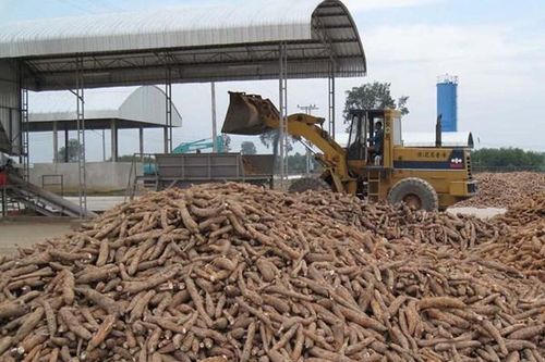 Xuất khẩu nông sản của Lào dự kiến vượt 2 tỷ USD trong năm 2023