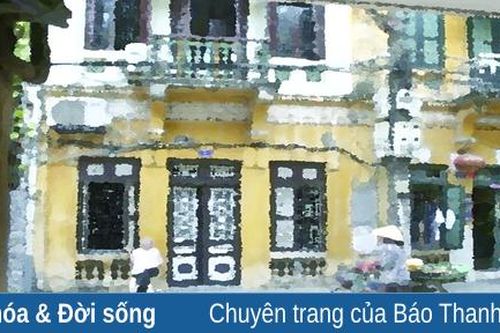 Mắt phố