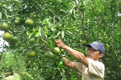Hiệu quả bước đầu từ phong trào thi đua 'Đoàn kết sáng tạo, nâng cao năng suất, chất lượng, hiệu quả, hội nhập quốc tế'