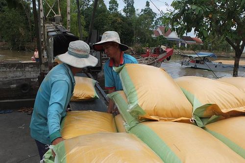 Doanh nghiệp phát triển nhanh về số lượng và chất lượng
