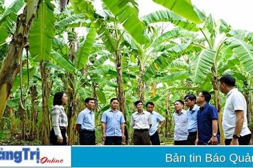 Khảo sát vùng nguyên liệu, kết nối cung cầu nông sản thực phẩm