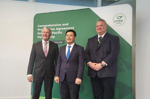 Tháo gỡ khó khăn, tạo điều kiện thúc đẩy tăng trưởng quan hệ thương mại Việt Nam - New Zealand