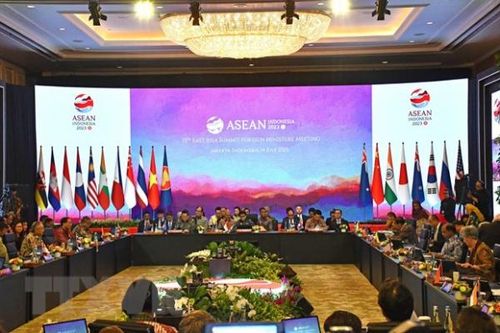 Những kết quả nổi bật của AMM 56