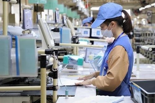 IMF dự báo tăng trưởng kinh tế của Việt Nam sẽ phục hồi vào nửa cuối năm