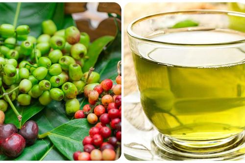 Nước vối có tác dụng gì?