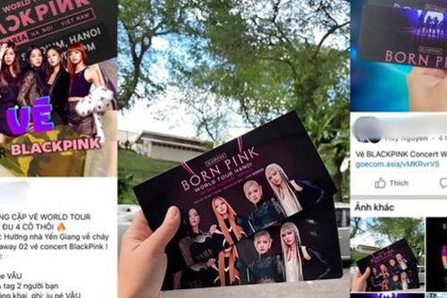 'Loạn' vé concert BlackPink, Ban tổ chức có hành động bất ngờ