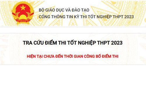 Tra cứu điểm thi tốt nghiệp THPT gặp lỗi, thí sinh làm theo các cách dưới đây