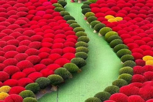 Làng hương Quảng Phú Cầu – hương sắc Huế giữa lòng Hà Nội