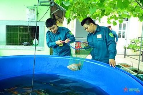 Dân quân tăng gia sản xuất với mô hình 'Aquaponics'