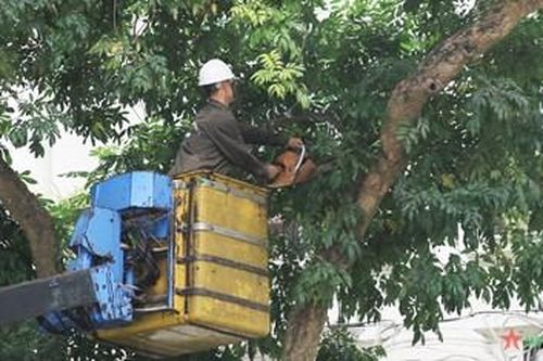 Hà Nội khẩn trương các phương án ứng phó bão Talim