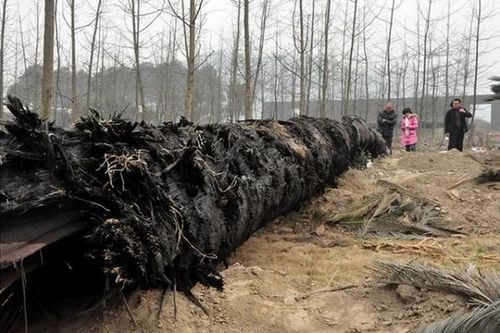 Nguồn nước của làng bỗng cạn kiệt, chuyên gia phán: 'Do báu vật trăm tỷ'