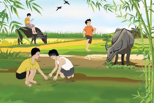 Tản văn: Khúc giao mùa tháng Bảy