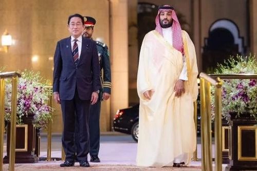 Vùng Vịnh liên tục đón 'khách quý'