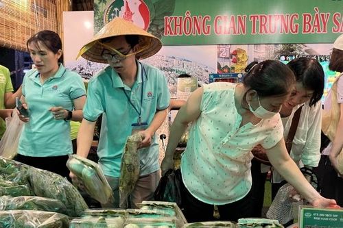 Nhiều doanh nghiệp ở TP HCM thiếu đơn hàng, công nhân thiếu việc làm