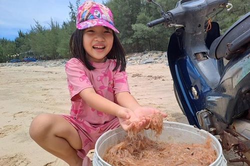 Ngư dân Quảng Bình đổ xô đi đón lộc biển