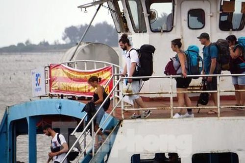 Đón du khách, tàu du lịch về nơi tránh bão ở Cát Bà