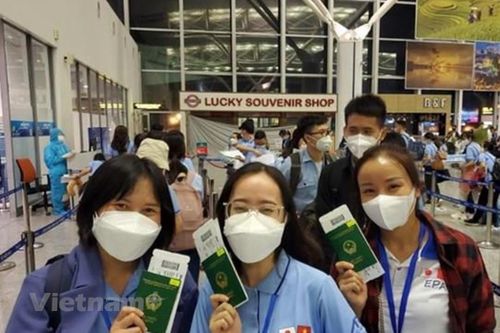 Danh sách công ty bị thu hồi giấy phép dịch vụ xuất khẩu lao động