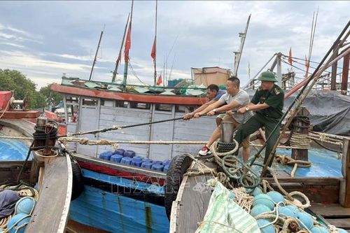 Thanh Hóa sẵn sàng phòng, chống bão số 1 theo phương châm '4 tại chỗ'