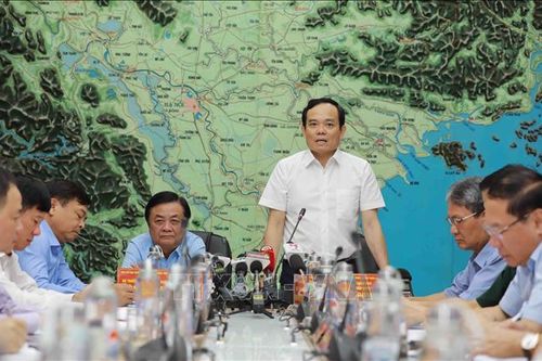 Ứng phó bão số 1: Tuyệt đối không được chủ quan, lơ là