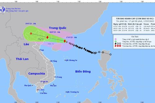 Ứng phó bão số 1: Đề phòng gió giật cấp 15, biển động