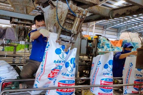 Phân bón Lâm Thao báo lãi tăng trưởng, tiền gửi ngân hàng gấp 5 lần