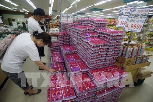 Hàn Quốc: Giá thực phẩm và ăn uống có xu hướng tăng mạnh