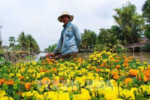 Hậu Giang thêm nhiều xã đạt chuẩn nông thôn mới nâng cao, kiểu mẫu