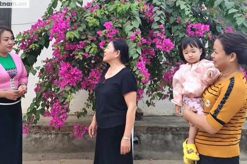 Mang đến làn gió mới, không khí mới cho nông nghiệp, nông thôn